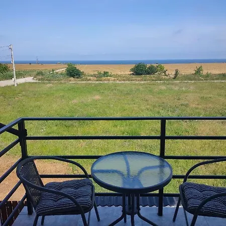 La Fernando 투즐라